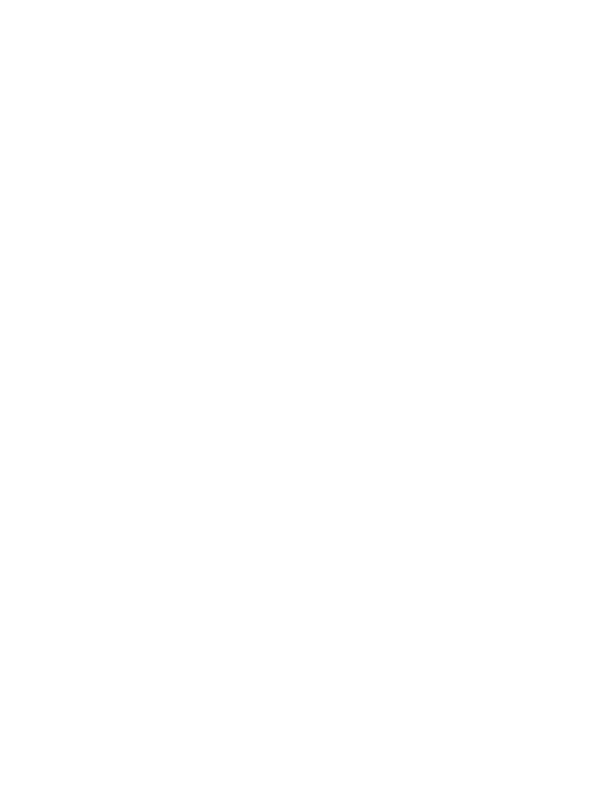 rayaheco logo