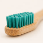 Close-up of a bamboo brush with teal bristles on a light background